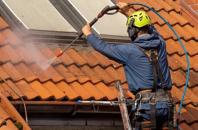 Démoussage et hydrofuge de toiture à Langogne